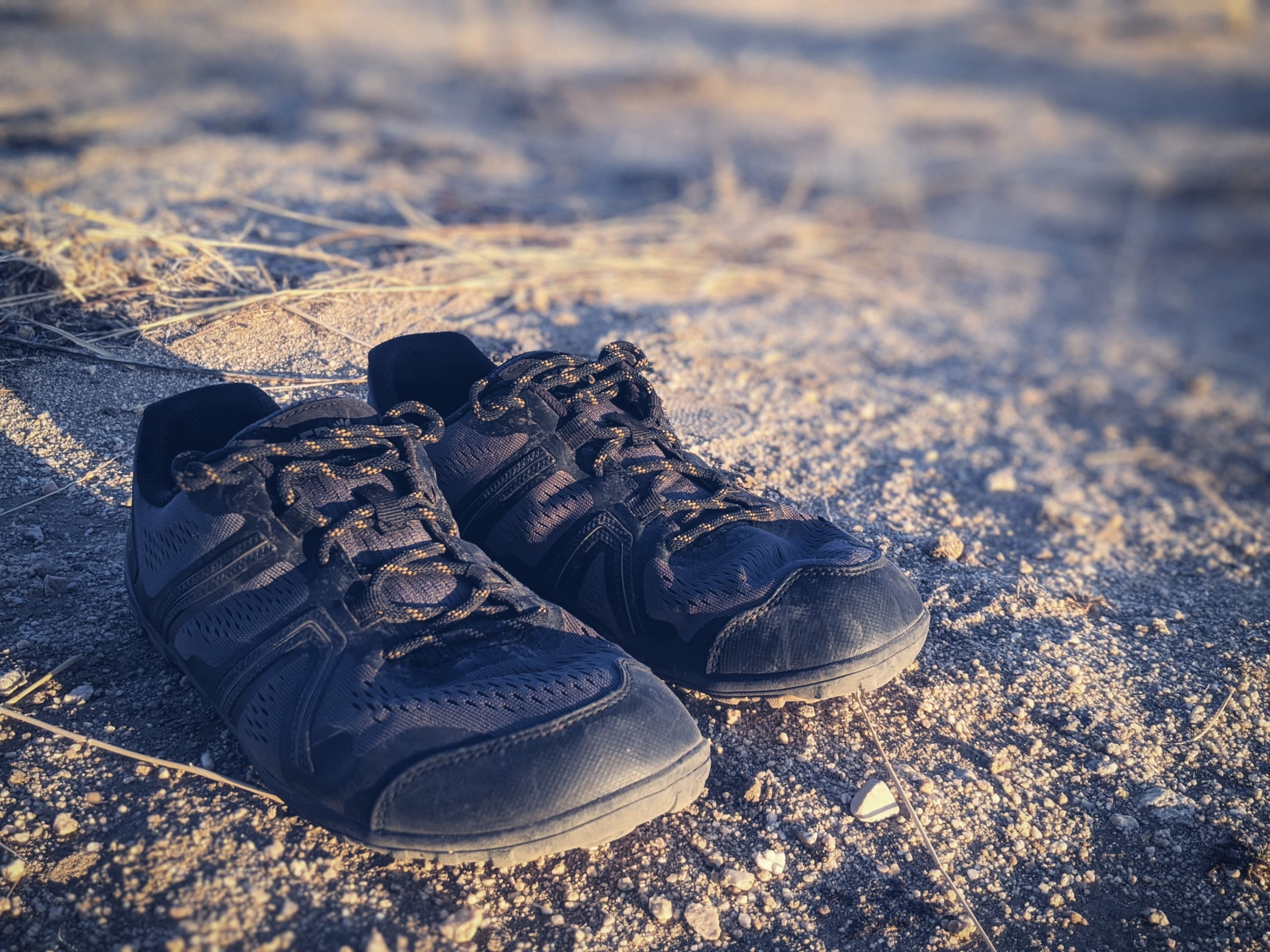 Xero Shoes Mesa trail review