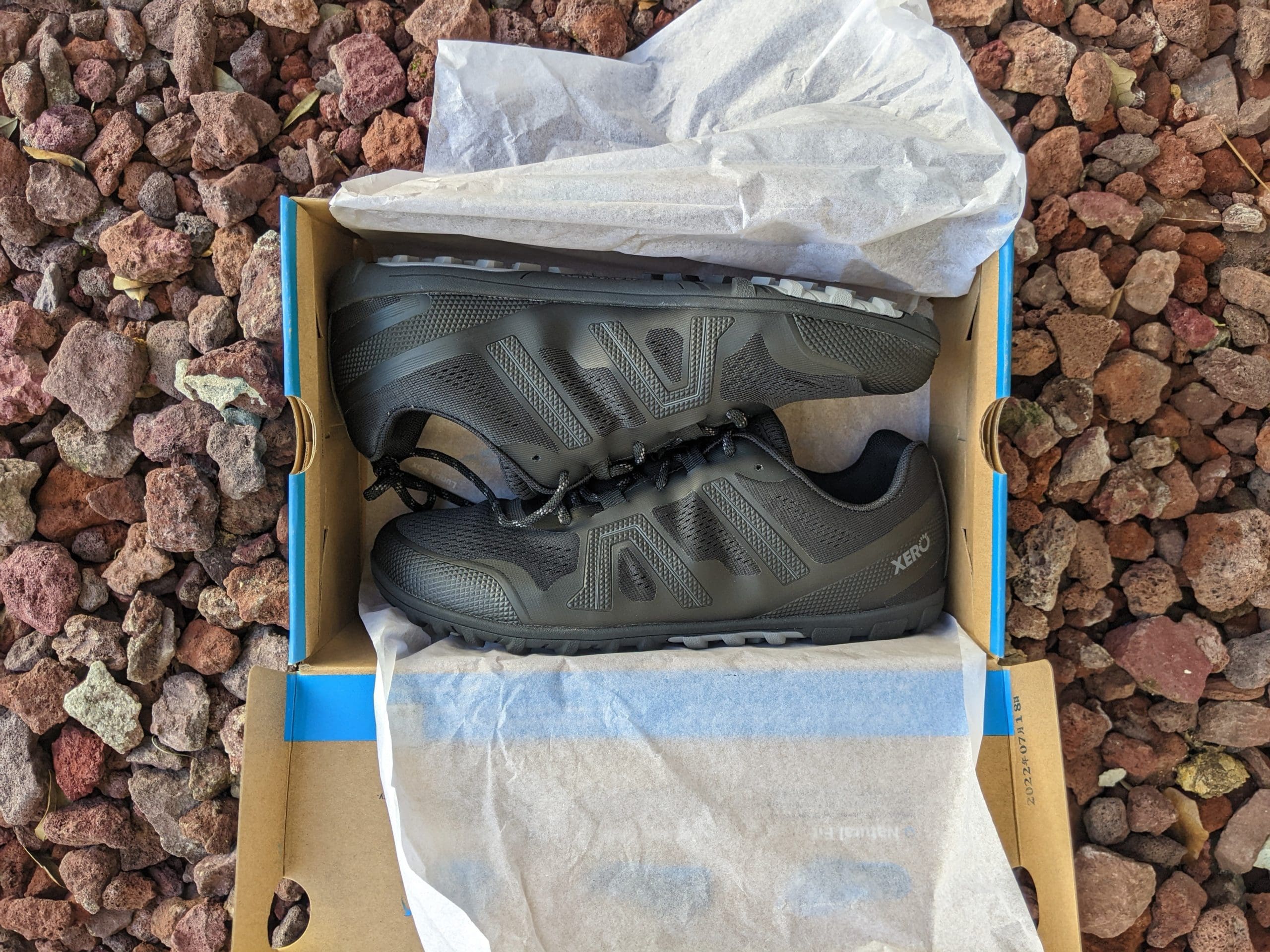 Xero shoes Mesa Trail II shoes in box