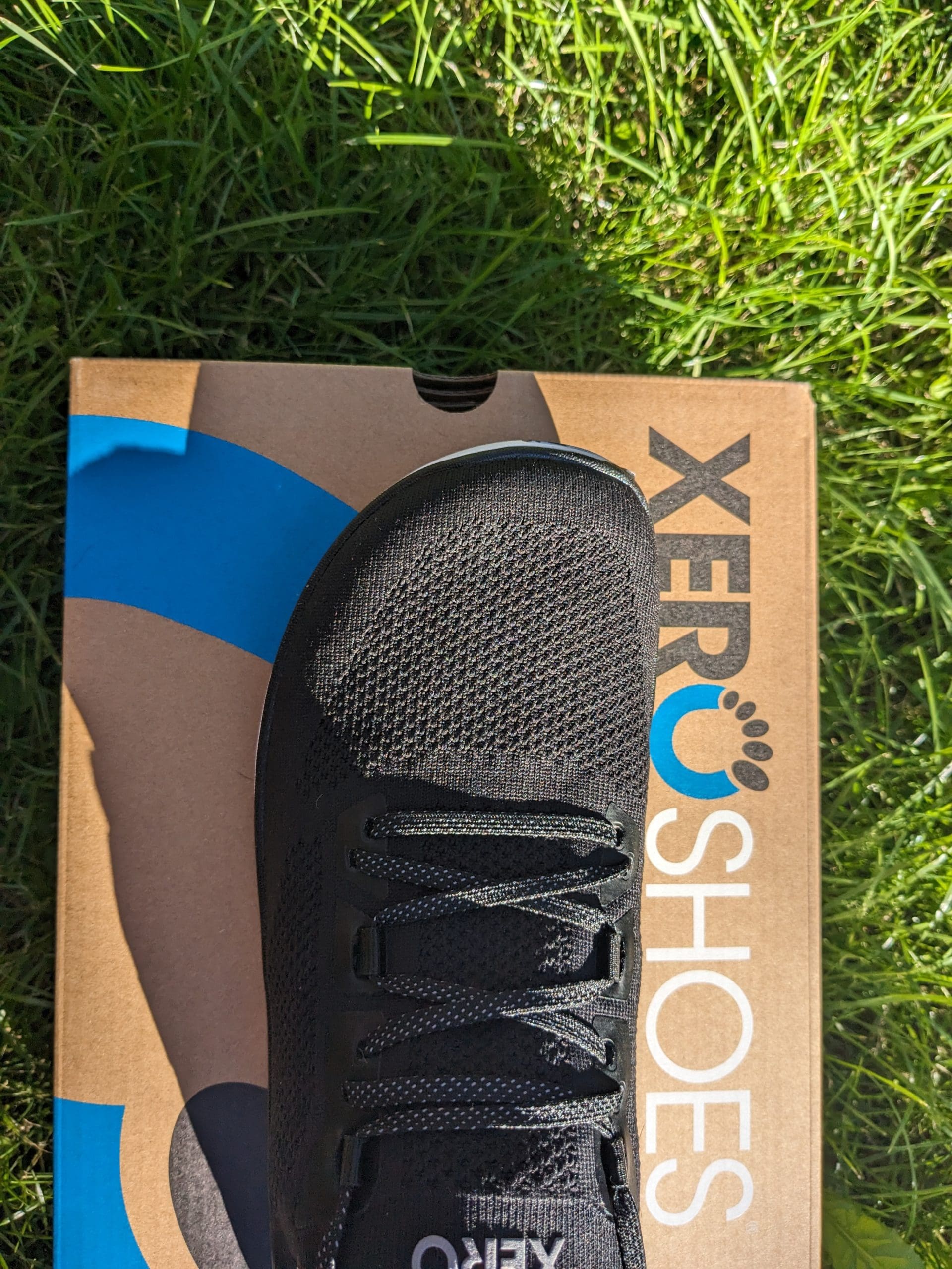 Xero Shoes Nexus Knit toe box