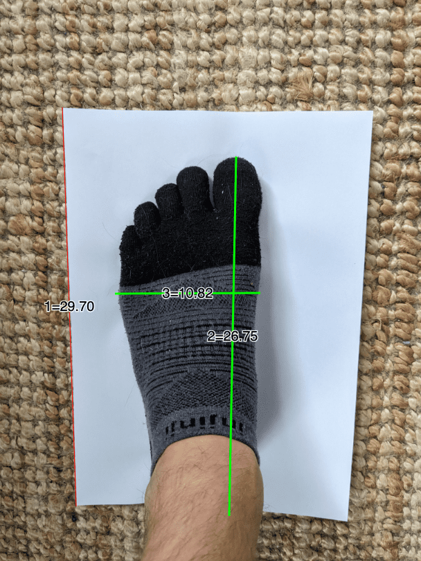 Nicks foot measurements