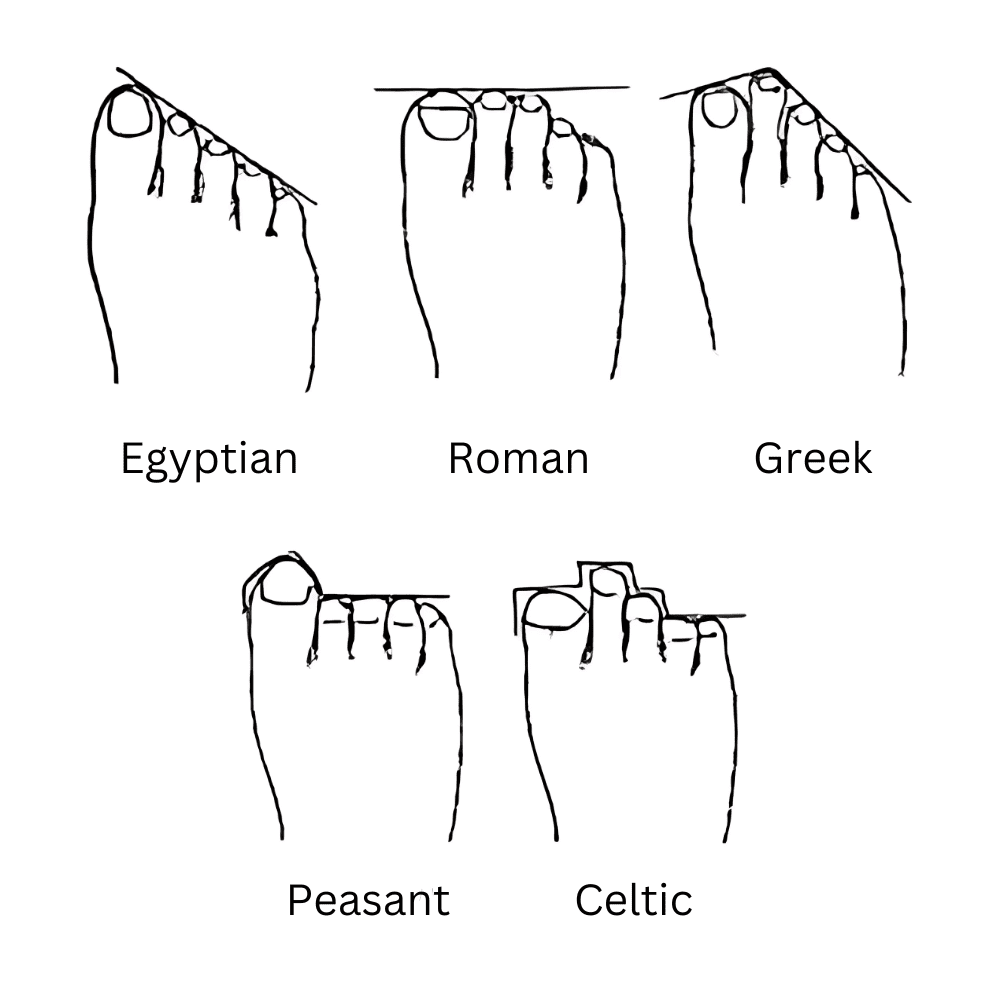 toe box lines