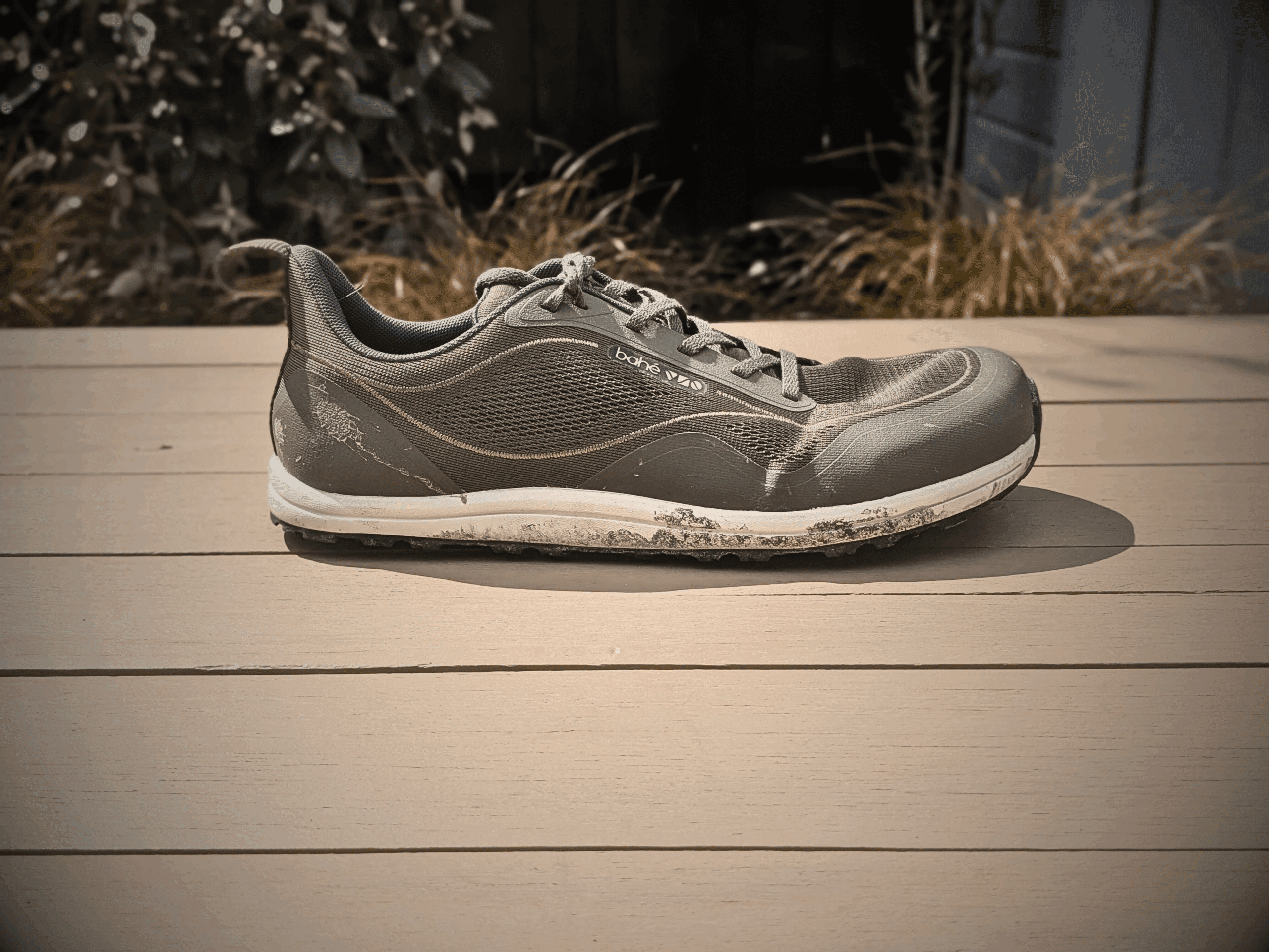 bahe revive adapt hero