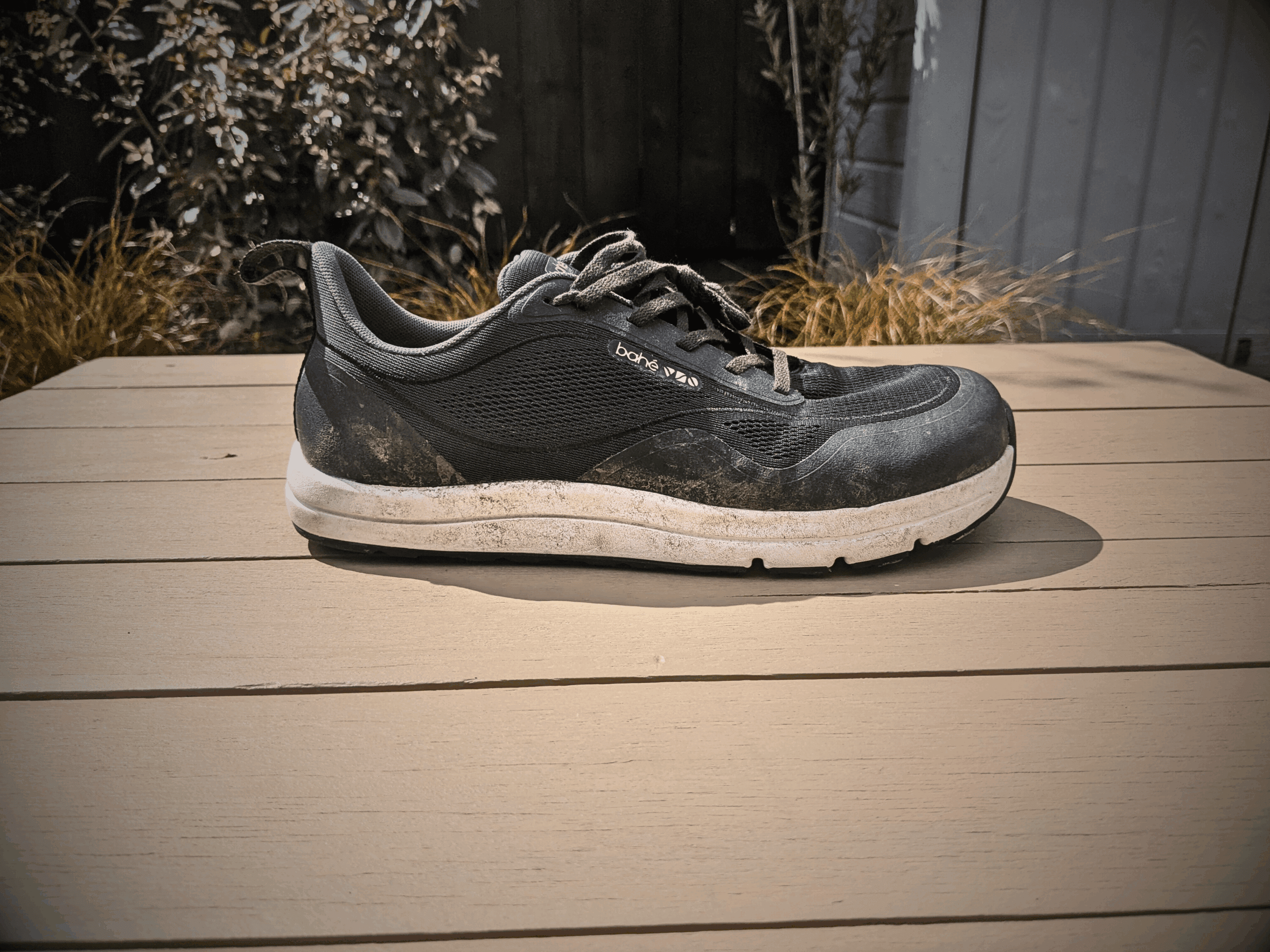 bahe revive endurance hero