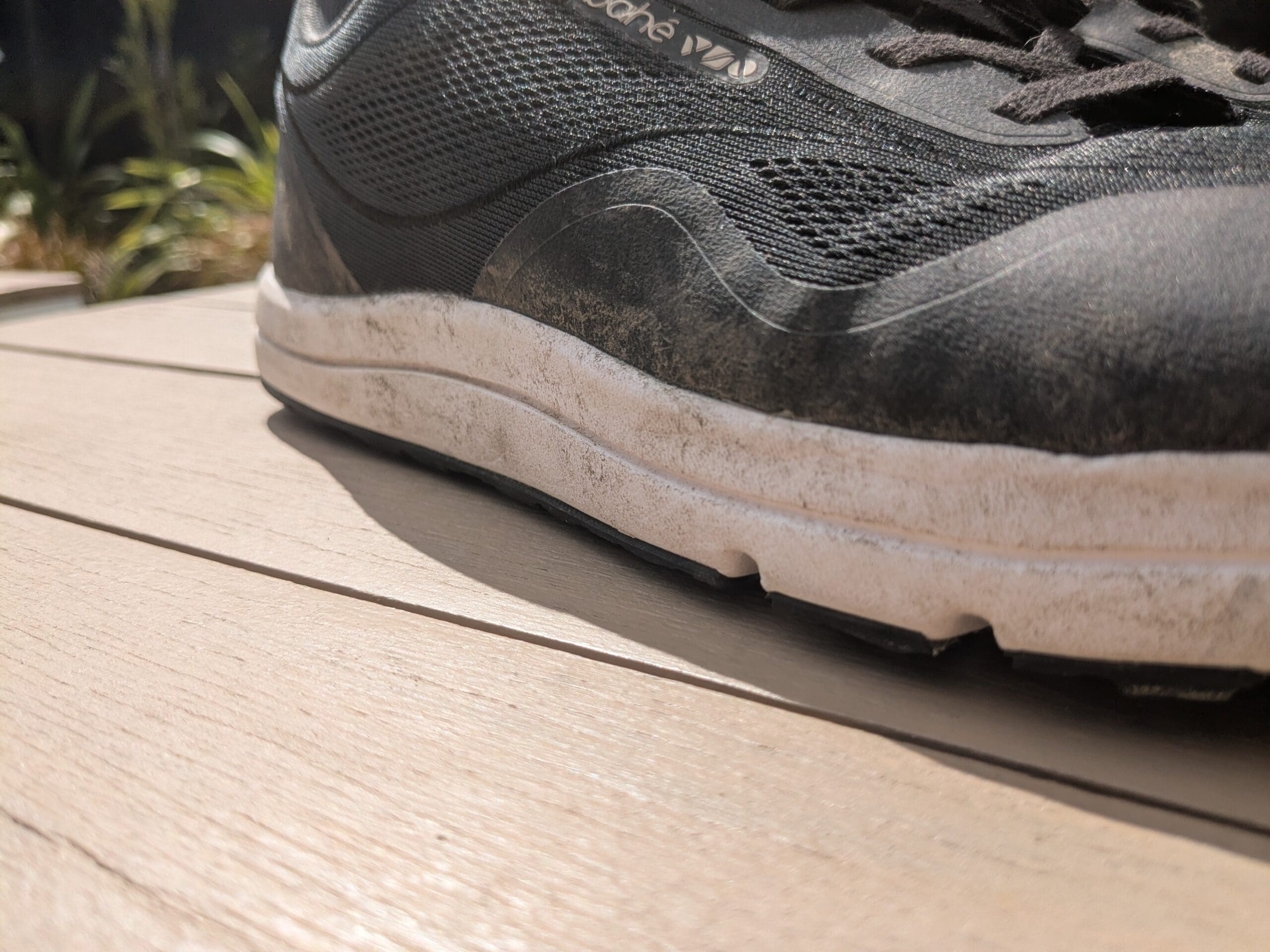 bahe revive endurance ankle collar