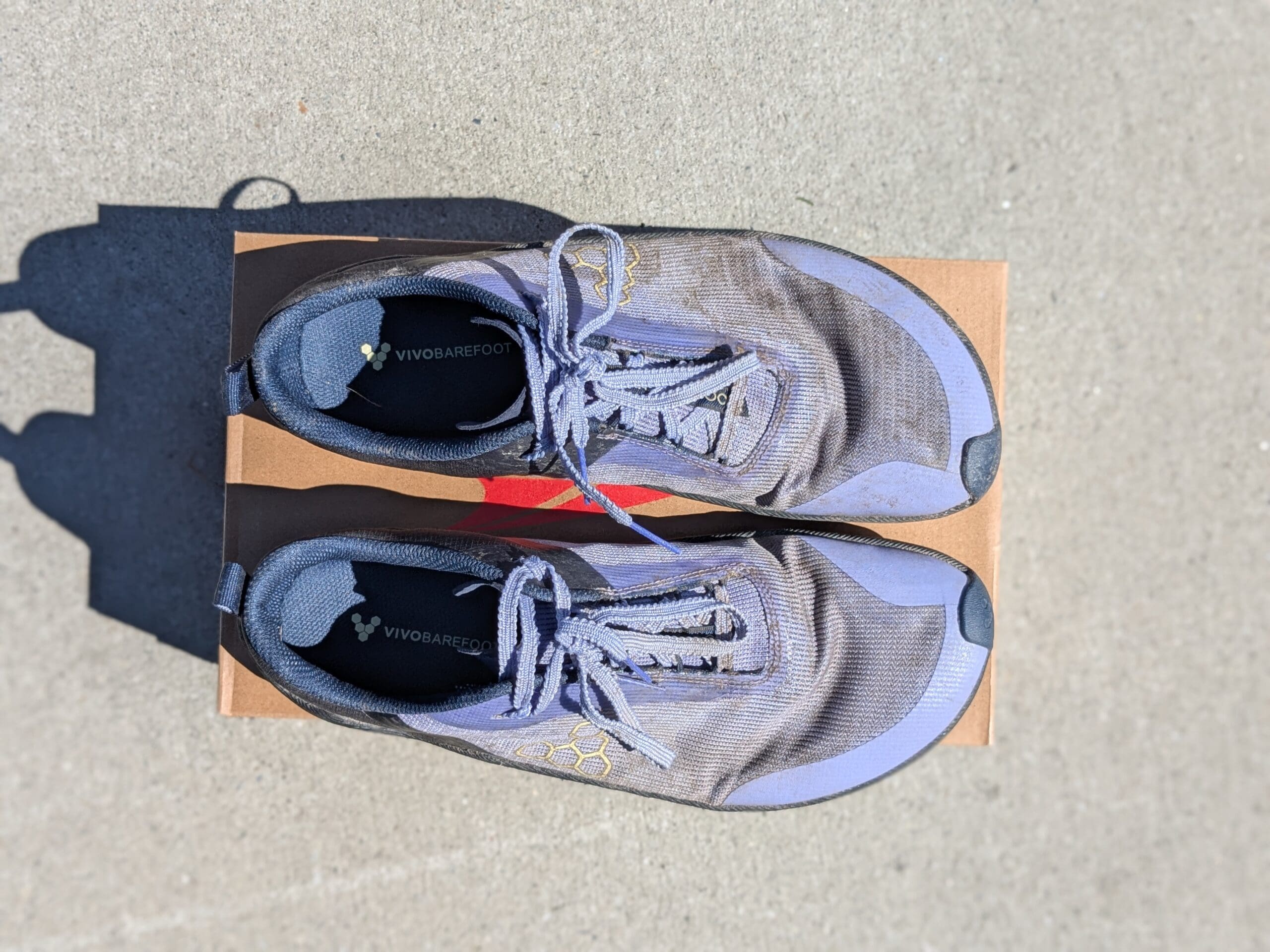 vivobarefoot primus trail flow fit